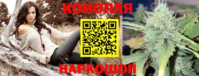 молекула духа Донской