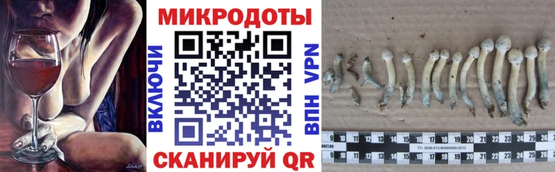 hydra как войти цены Мичуринск Псилоцибиновые грибы ЛСД
