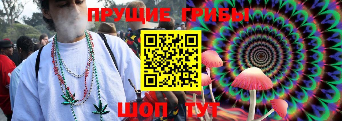Галлюциногенные грибы Psilocybine cubensis Мичуринск