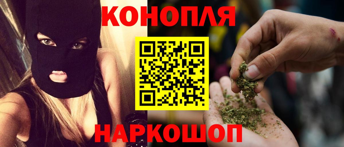 Бошки марихуана конопля Мичуринск